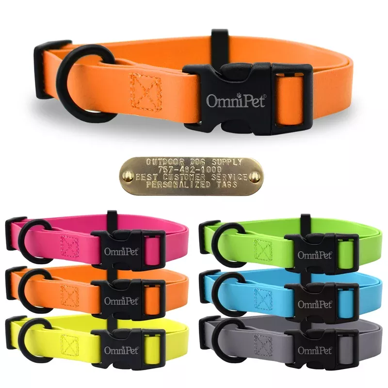 1-carnival-color-dog-collar-no-tag -1″ Carnival Color Dog Collar- No Tag