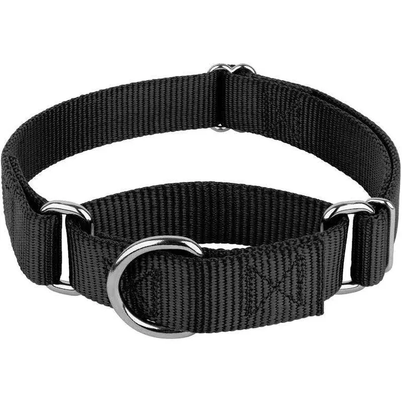 1-martingale-collar 1 Martingale Collar