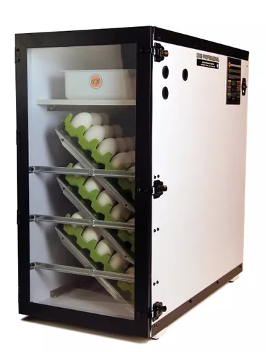 1500-cabinet-incubator 1500 Cabinet Incubator