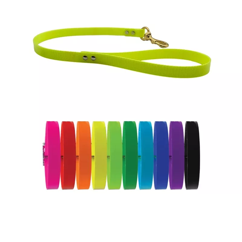 2-ft-dayglo-flat-leash-no-tag -2 ft DayGlo Flat Leash- No Tag