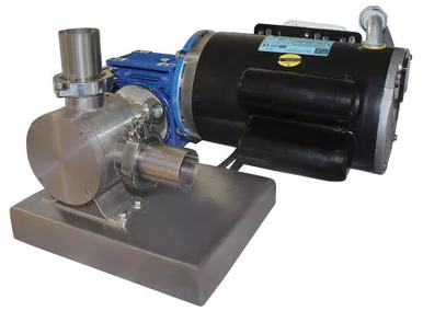 2" Stainless Steel Vane Pump, 2 hP Motor