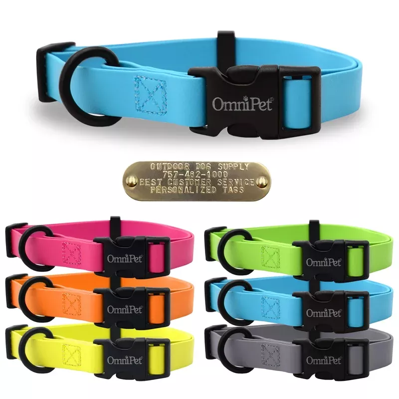 3-4-carnival-color-dog-collar-no-tag -3/4″ Carnival Color Dog Collar- No Tag