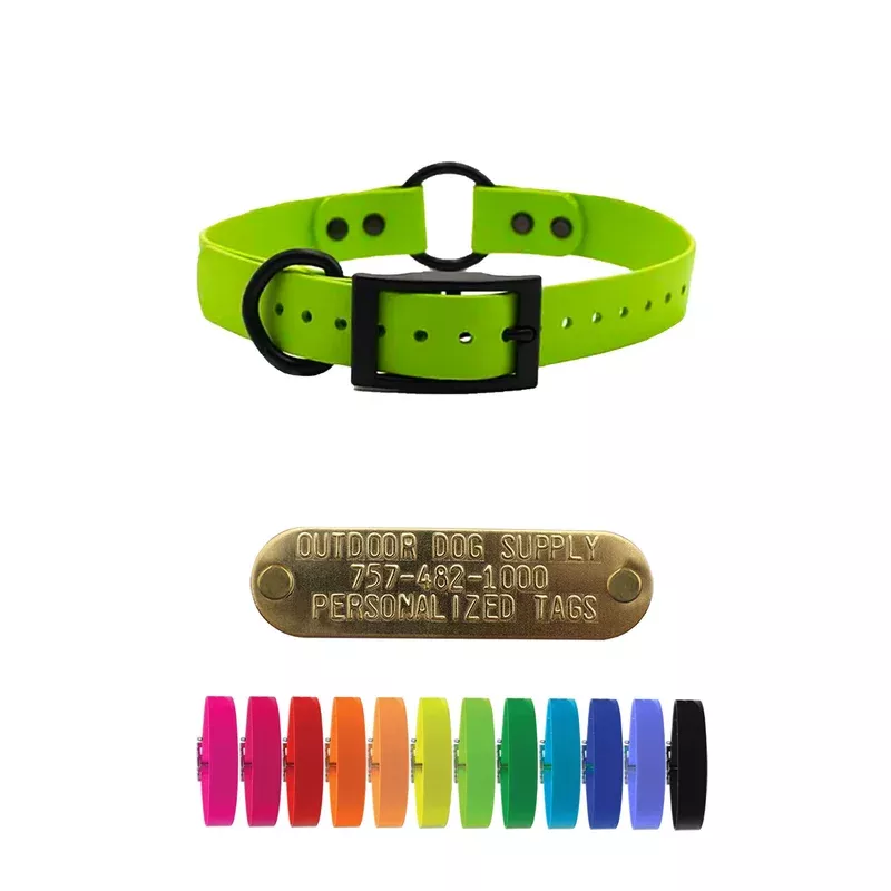 3-4-softflex-beta-center-ring-dog-collar-no-tag -3/4″ SoftFlex Beta Center Ring Dog Collar- No Tag