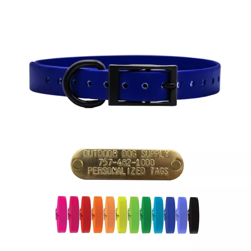3-4-softflex-beta-d-ring-dog-collar-no-tag -3/4″ SoftFlex Beta D Ring Dog Collar- No Tag