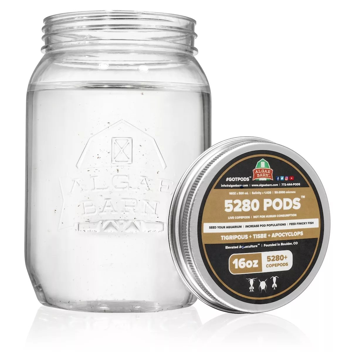 5280 Pods