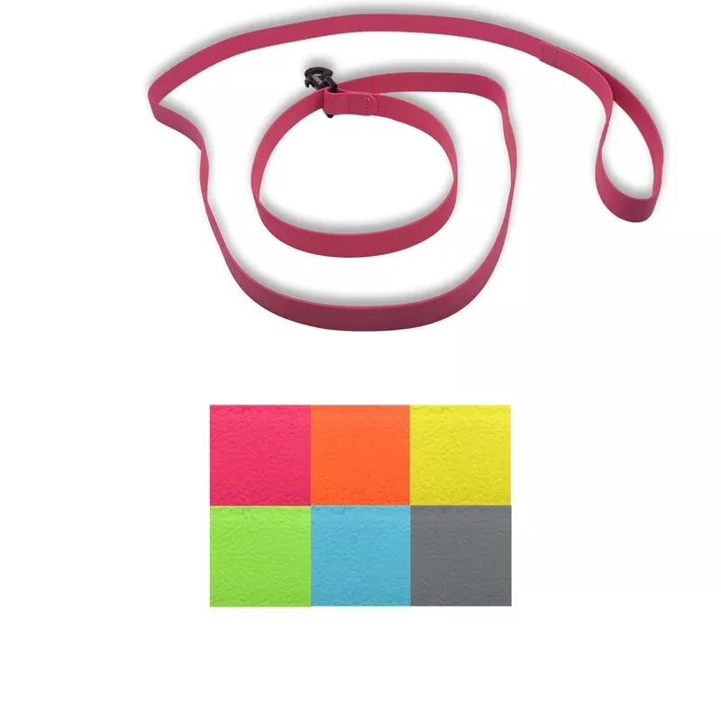 6-ft-carnival-color-dog-leash-with-custom-name-plate-no-tag -6 ft Carnival Color Dog Leash with Custom Name Plate- No Tag