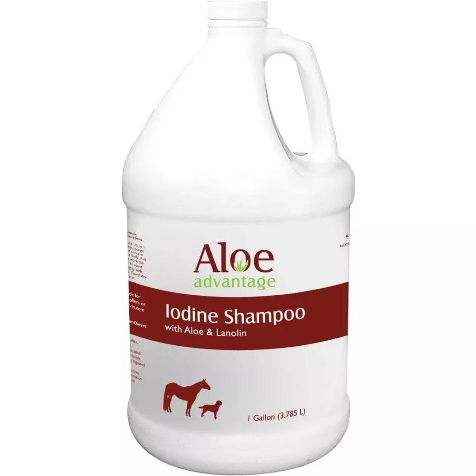 aloe-advantage-iodine-shampoo ALOE ADVANTAGE IODINE SHAMPOO