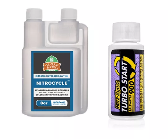 aquarium-cycle-kit Aquarium Cycle Kit
