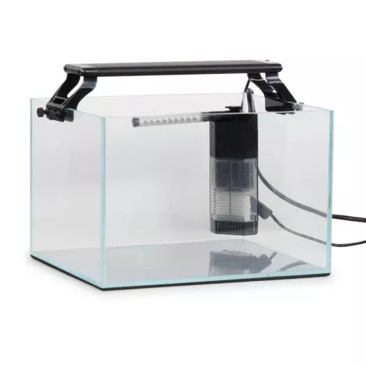 aquazen-4-gallon-complete-aquarium Aquazen 4 Gallon Complete Aquarium