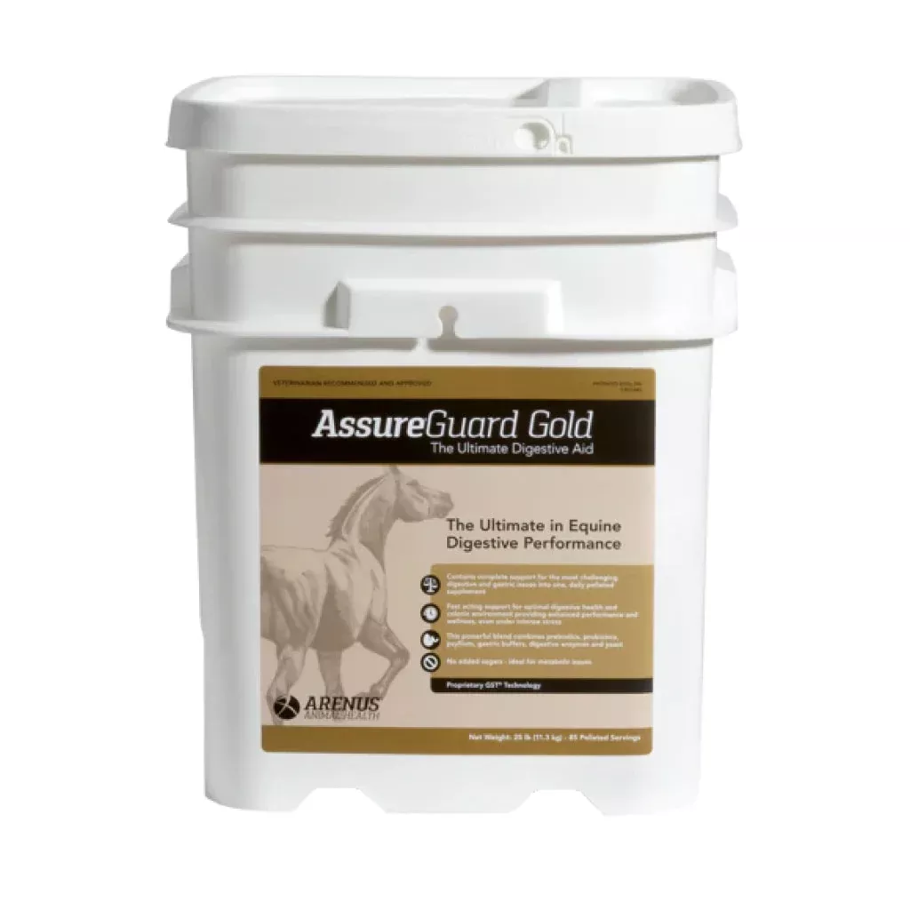 Assure Guard Gold Digestive Aid for Horses