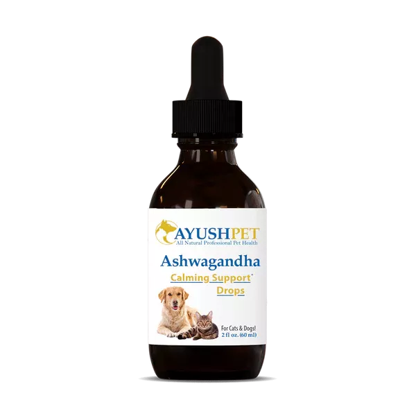 ayush-pet-ashwagandha-pets Ayush Pet | Ashwagandha for Pets
