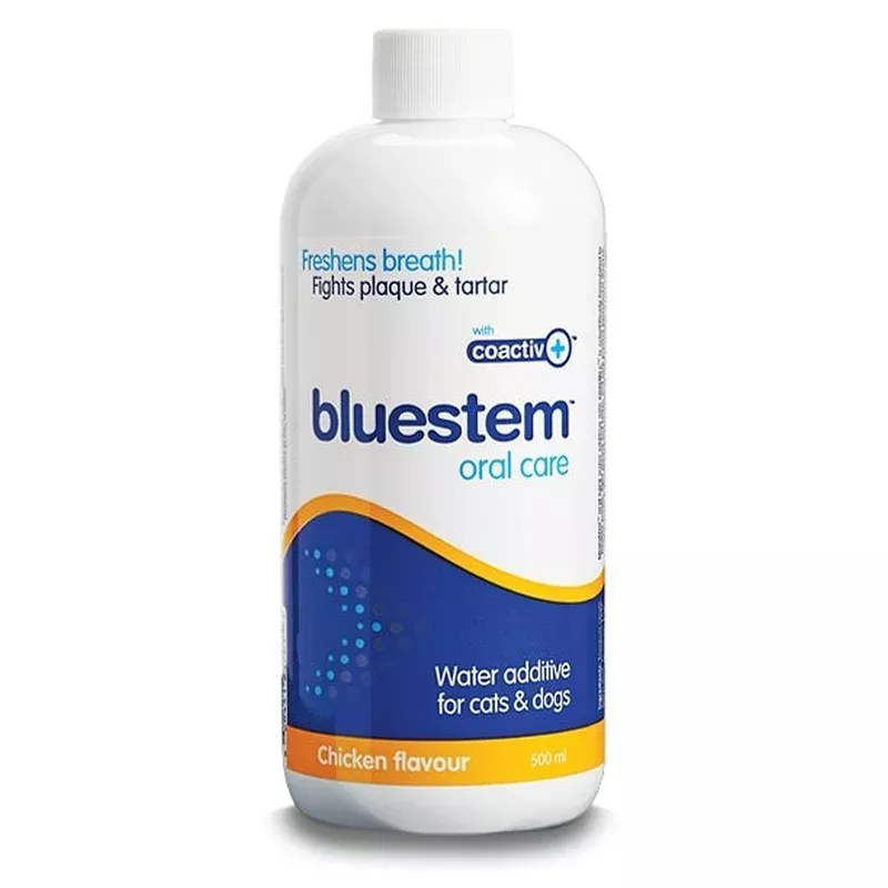bluestem-oral-care-chicken-flavor-dogs-cats-500ml bluestem Oral Care Chicken Flavor for Dogs & Cats 500ml