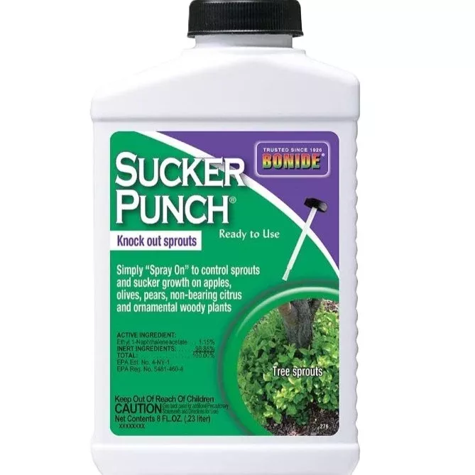 bonide-sucker-punch-ready-to-use Bonide Sucker Punch Ready-to-Use