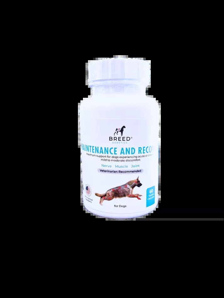 breed-genetics-maintenance-recovery-veterinary-formula Breed Genetics | Maintenance and Recovery - Veterinary Formula