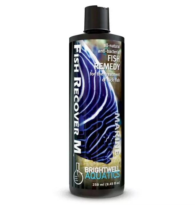 brightwell-aquatics-fish-recover-m-1l Brightwell Aquatics Fish Recover M - 1L