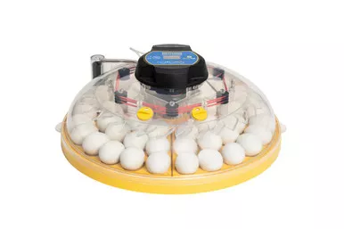 Brinsea Maxi 48 EX Connect Tabletop Incubator