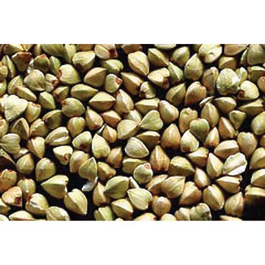 buckwheat-seed Buckwheat Seed