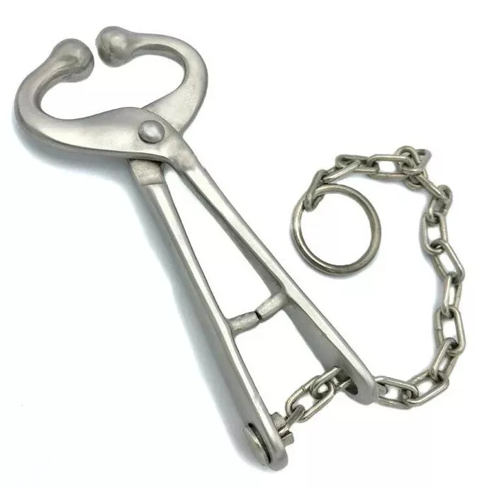 Bull Lead with 13.5" Chain