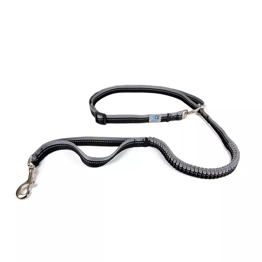 canine-equipment-1-bungee-active-leash-active-dog-leash Canine Equipment - 1" Bungee Active Leash - Active Dog Leash