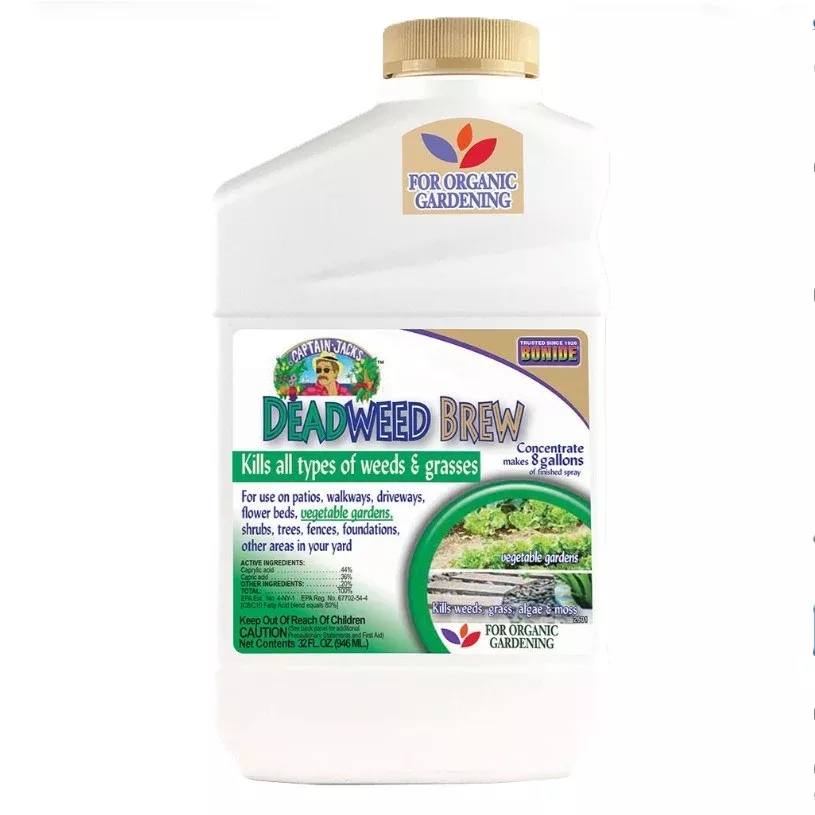 captain-jack-s-deadweed-brew-concentrate Captain Jack's Deadweed Brew Concentrate