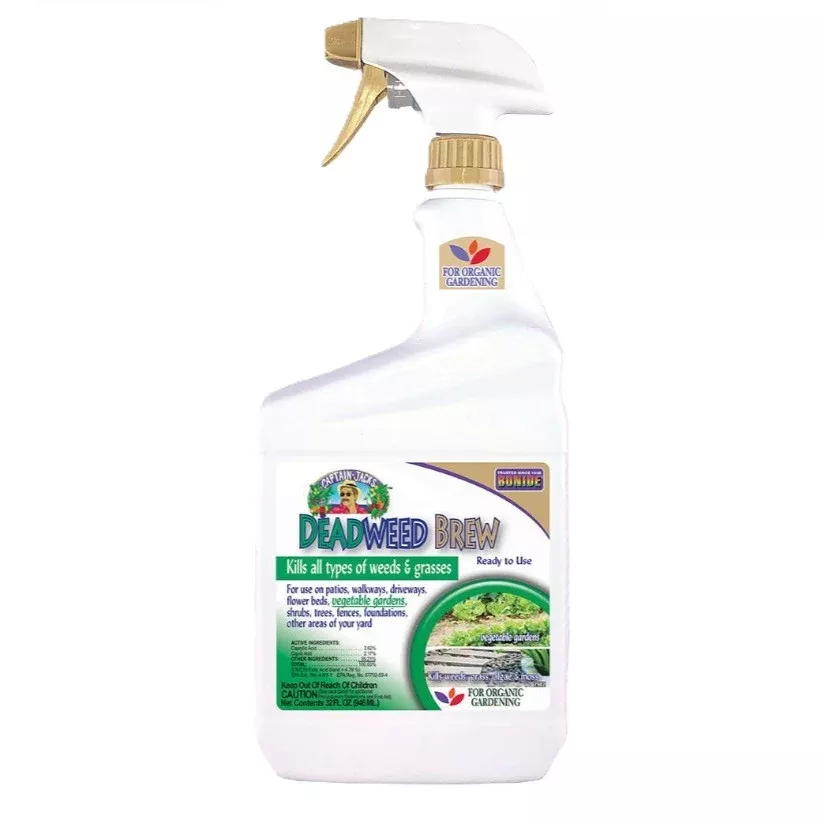 captain-jack-s-deadweed-brew-rtu-32-oz Captain Jack's Deadweed Brew RTU - 32 oz