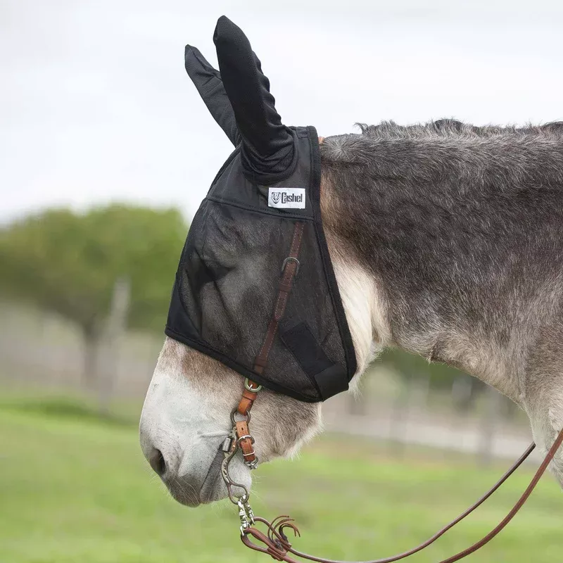 cashel-quiet-ride-fly-mask-with-ears-mules-donkeys-riding-comfort Cashel Quiet-Ride Fly Mask with Ears for Mules & Donkeys Riding Comfort