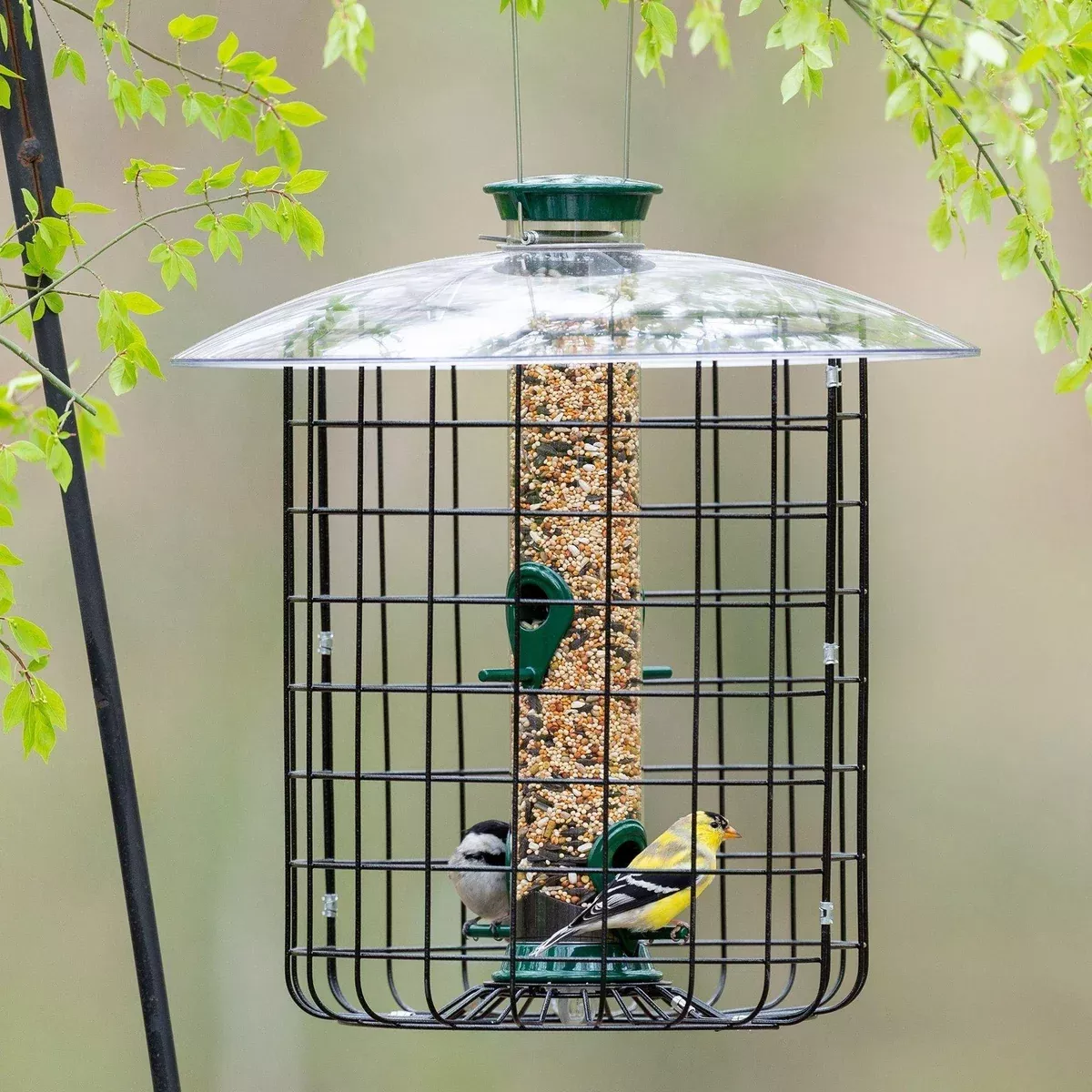 classic-brands-droll-yankees-new-generation-squirrel-proof-caged-bird-feeder Classic Brands Droll Yankees New Generation Squirrel-Proof Caged Bird Feeder