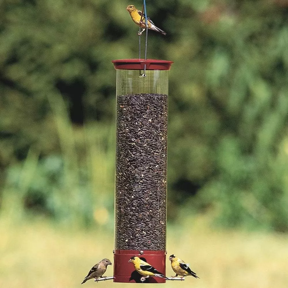 classic-brands-droll-yankees-yankee-dipper-squirrel-proof-bird-feeder Classic Brands Droll Yankees Yankee Dipper Squirrel-Proof Bird Feeder