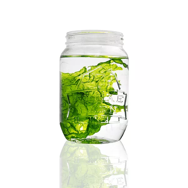 clean-sea-lettuce Clean Sea Lettuce