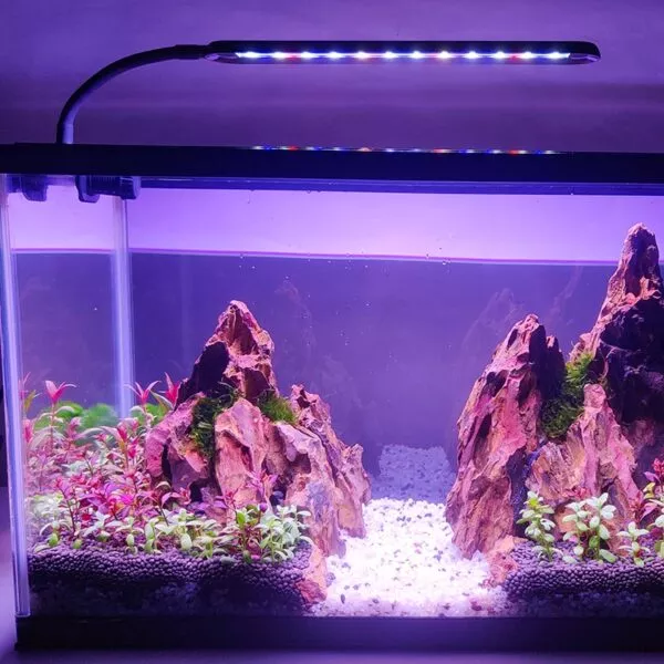 clip-on-aquarium-light Clip-on Aquarium Light