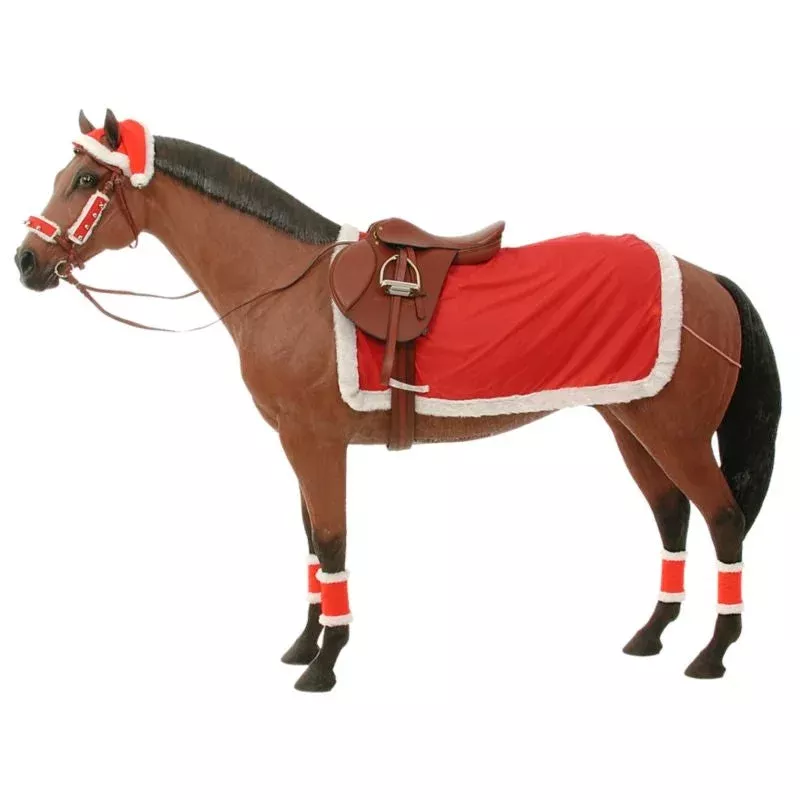 complete-christmas-riding-set Complete Christmas Riding Set