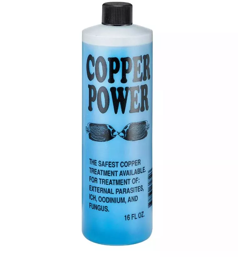 copper-power-blue-16oz Copper Power Blue 16oz