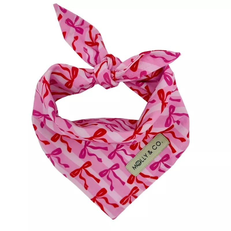coquette-dog-bandana Coquette – Dog Bandana