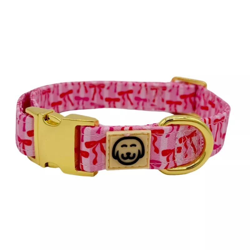 coquette-dog-collar Coquette – Dog Collar