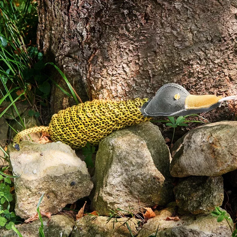 delilah-duckess-green-wild-s-eco-dog-toy Delilah the Duckess Green and Wild’s Eco Dog Toy