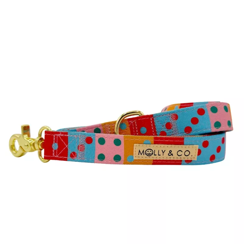 doble-seis-dog-leash Doble Seis – Dog Leash