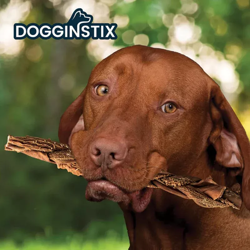 dogginstix-bully-sticks-24-beef-tripe DOGGINSTIX Bully Sticks 24″ Beef Tripe