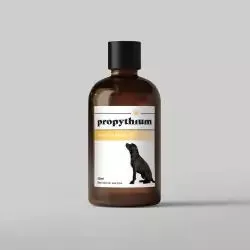 dogs-first-propythium-moisturising-oil-50ml Dogs First | Propythium Moisturising Oil - 50ml