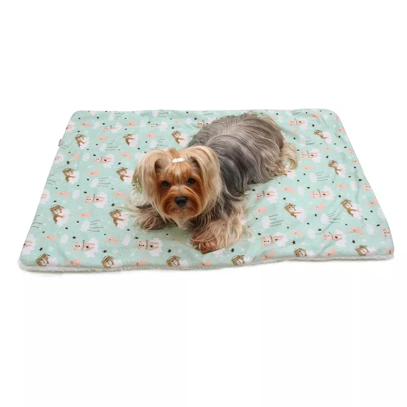 double-layered-ultra-soft-minky-plush-bedtime-bear-blanket Double Layered Ultra Soft Minky/Plush Bedtime Bear Blanket