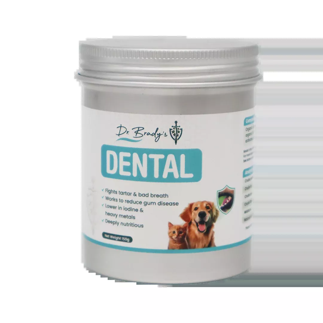 dr-brady-s-dental-pro-thyroid Dr. Brady's Dental Pro Thyroid