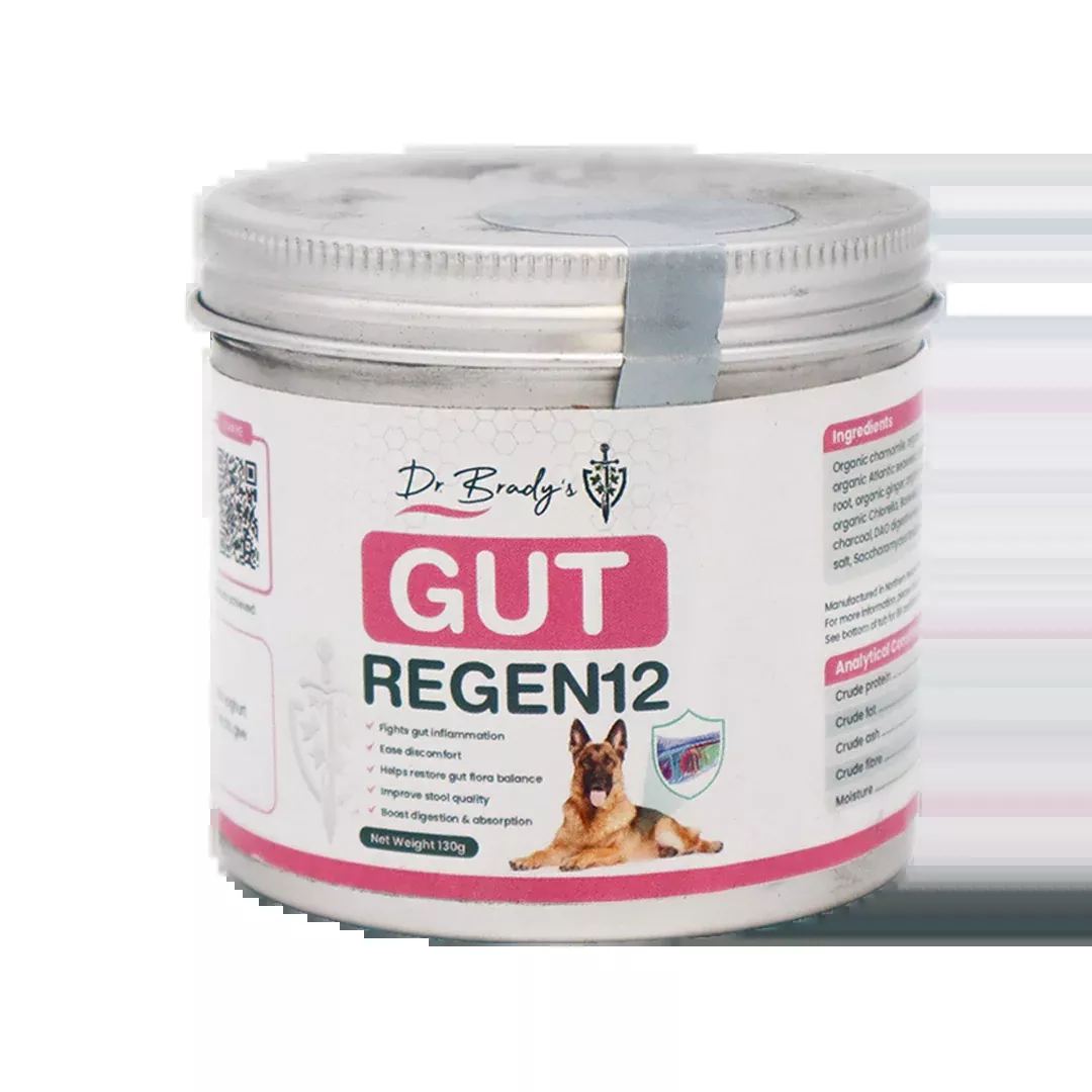 Dr. Brady's Gut Regen12