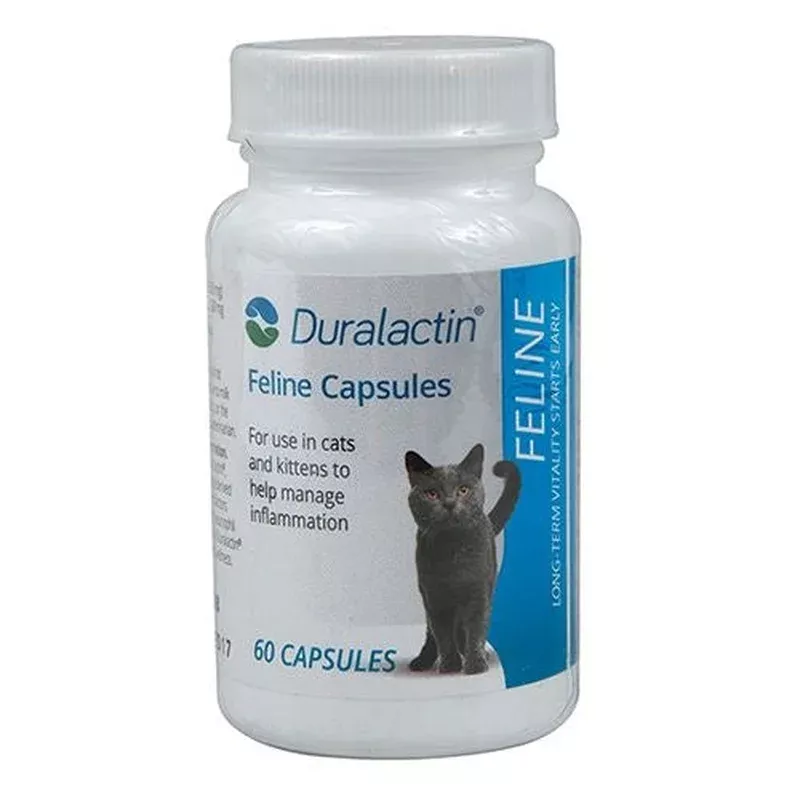 duralactin-cats-60-count Duralactin for Cats – 60 Count