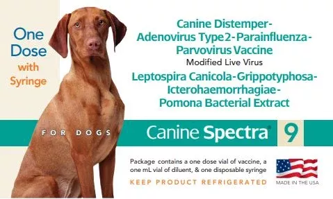durvet-canine-spectra-9 Durvet Canine Spectra 9