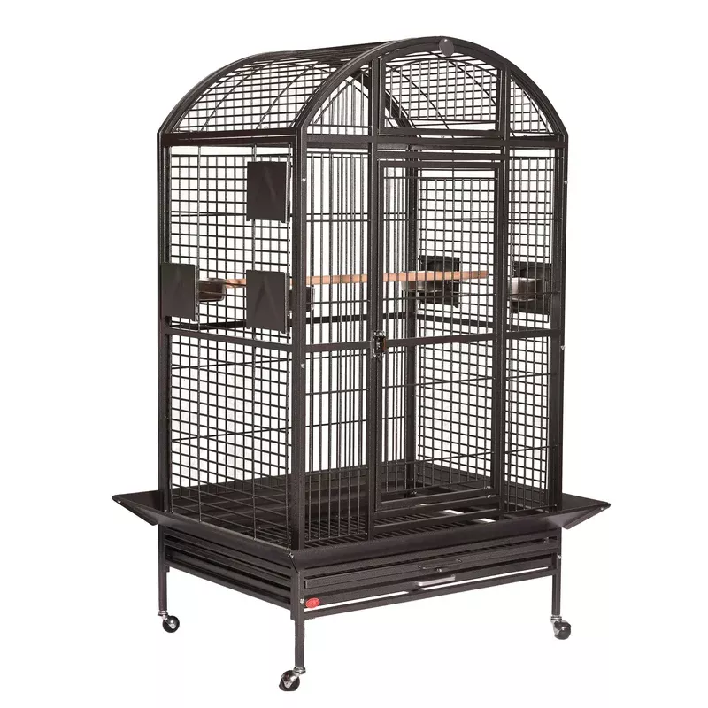 e-36-x28-x65-extra-large-dome-top-bird-cage-2-box-set A&E 36″x28″x65″ Extra Large Dome Top Bird Cage (2 box set)