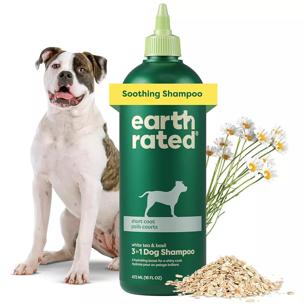 earth-rated-3-in-1-short-coat-white-tea-basil-shampoo-conditioner-dogs-16-oz Earth Rated 3-in-1 Short Coat White Tea & Basil Shampoo & Conditioner for Dogs (16 oz)