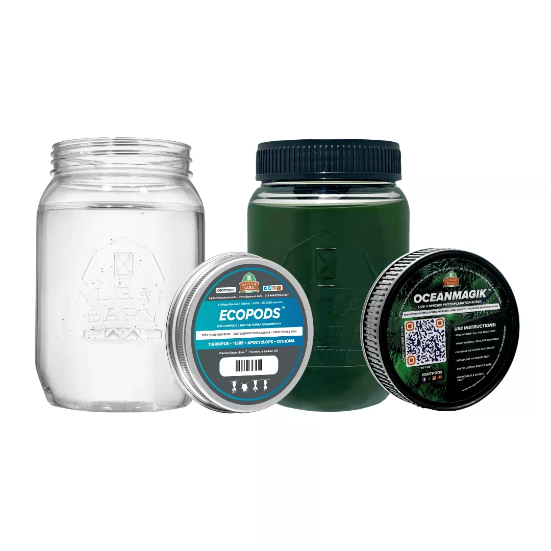ecopack-pod-phyto-combo EcoPack Pod & Phyto Combo