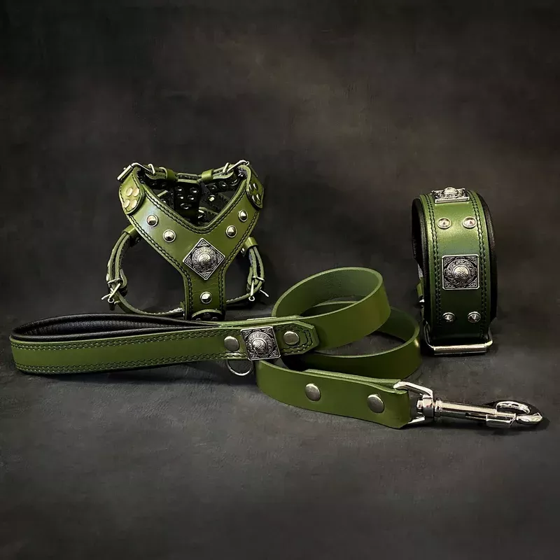 eros-small-to-medium-dog-set-harness-collar-lead-green “EROS” Small to Medium dog SET – Harness – collar – lead. Green