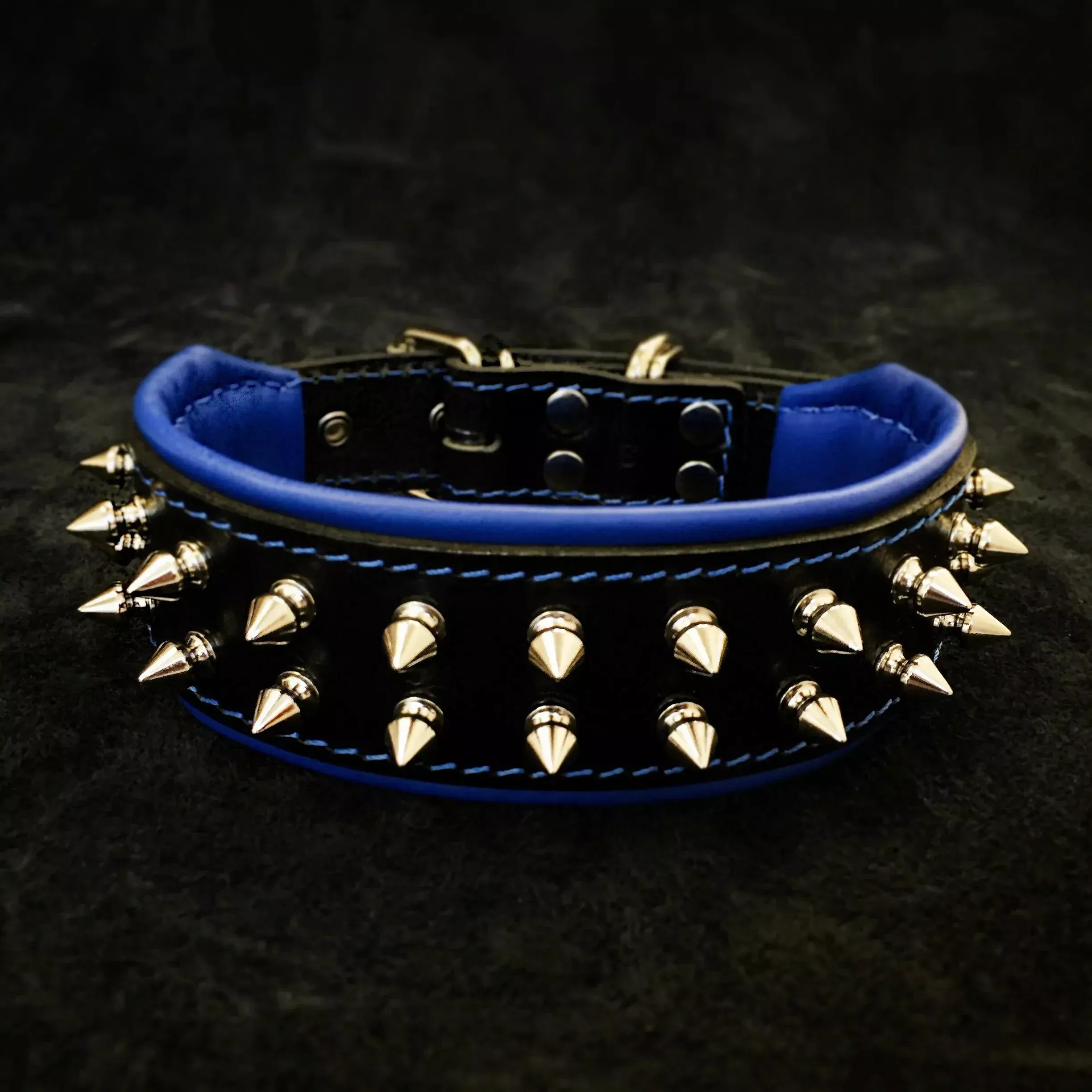 frenchie-collar "Frenchie" collar