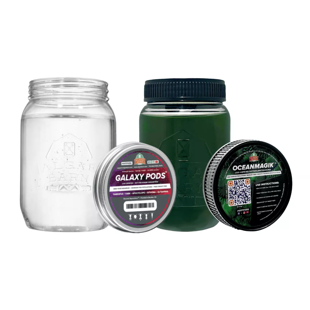 galaxy-pods-phyto-combo Galaxy Pods & Phyto Combo
