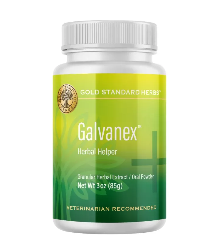 gold-standard-herbs-galvanex-85g Gold Standard Herbs | Galvanex 85G